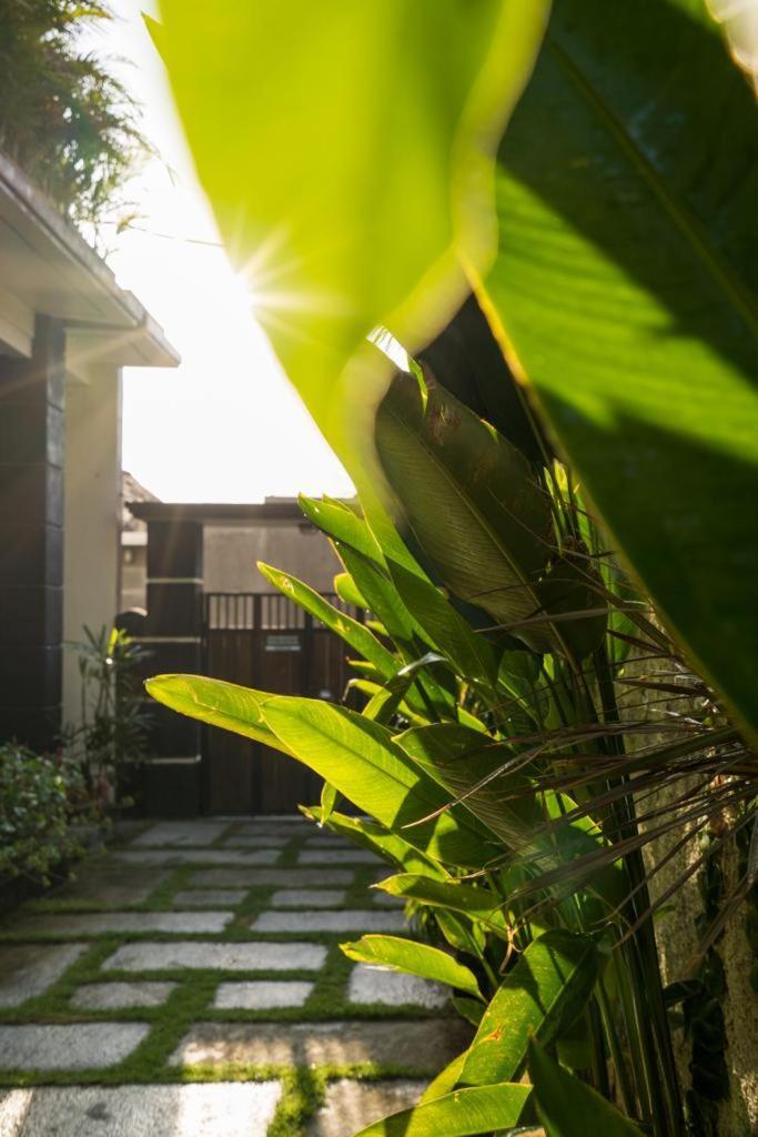 Kubu Lestari Sanur